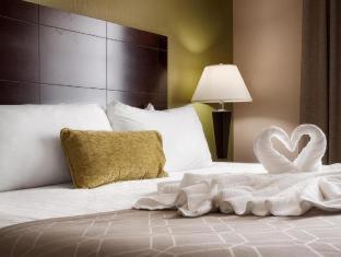 Best Western Plus Havre Inn & Suites Room photo